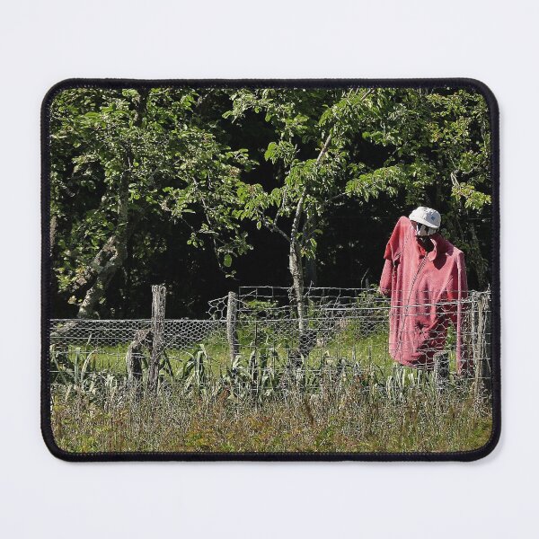 Item preview, r1526/ New Finition 2021  All day it is there .... Mr. scarecrow red sport ! 3   (c) (h) by Olao-Olavia / Okaio Créations  by fz 1000 2015 designed and sold by o.okaïo.