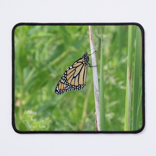 Item preview, Monarch on a Stick designed and sold by Susie Kramer.