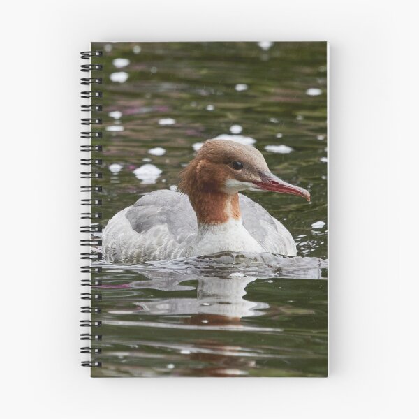 Item preview, Calm thoughts. Common merganser designed and sold by Jouko Lehto Photography.