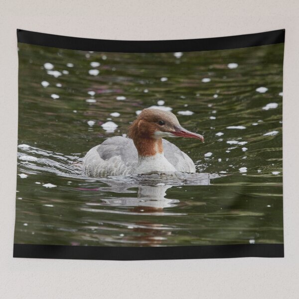 Item preview, Calm thoughts. Common merganser designed and sold by Jouko Lehto Photography.