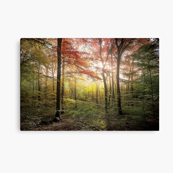 Where Fairies Live Canvas Print
