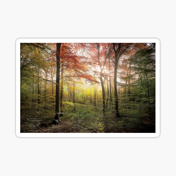 Where Fairies Live Sticker