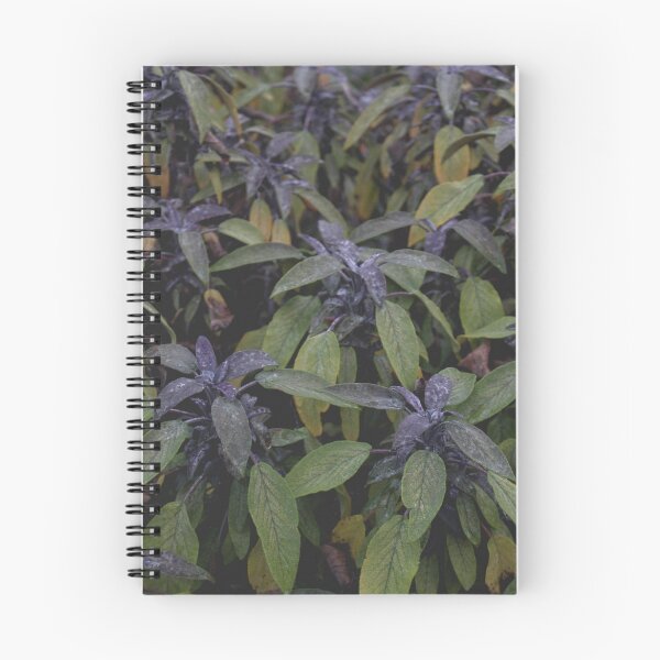 Item preview, Botanic Gardens designed and sold by nataliectaylor.