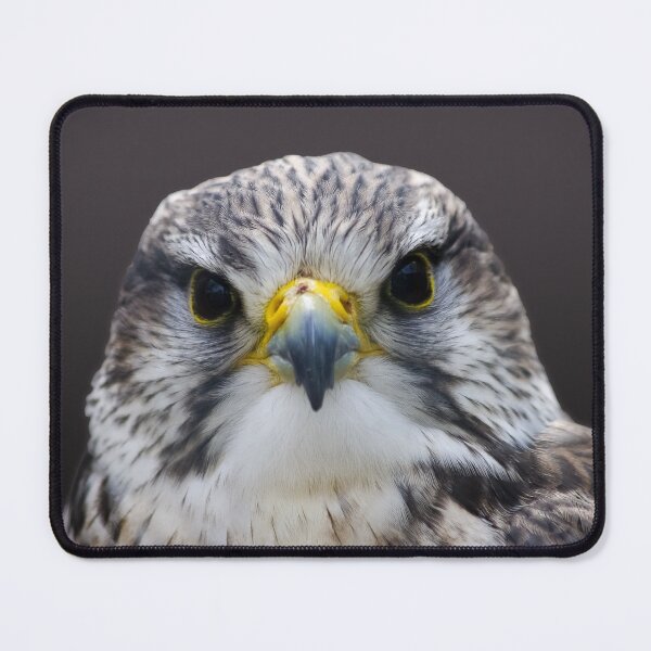 Item preview, Saker Falcon watching you. designed and sold by LindaCooke.