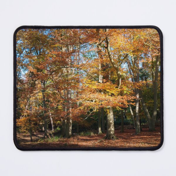 Item preview, Beech woodland in autumn. designed and sold by LindaCooke.