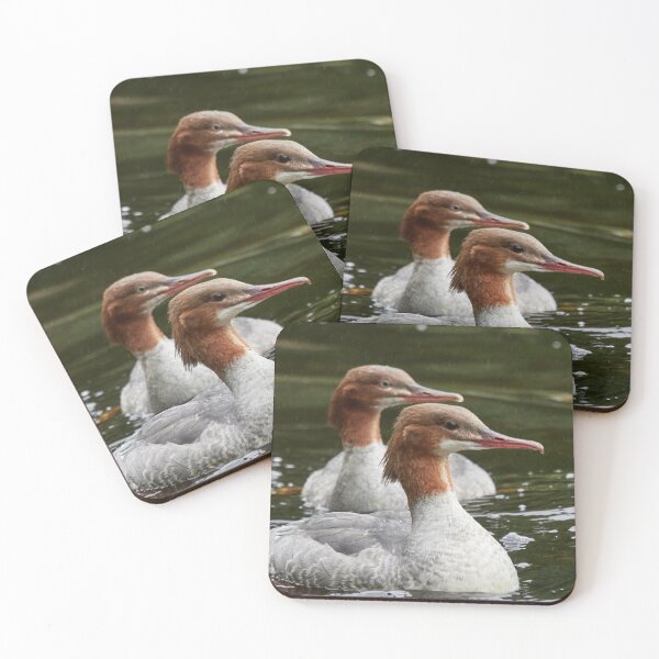 Item preview, Two of a kind. Common merganser designed and sold by Jouko Lehto Photography.