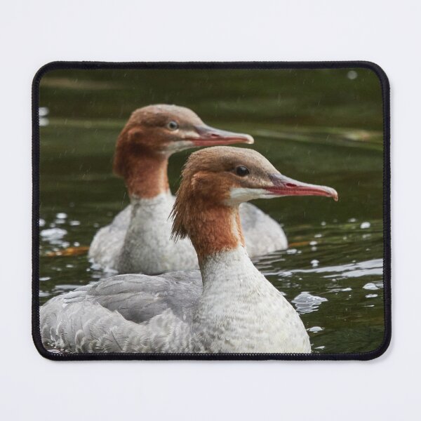 Item preview, Two of a kind. Common merganser designed and sold by Jouko Lehto Photography.