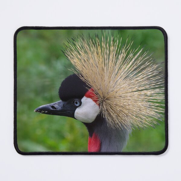 Item preview, African crowned crane designed and sold by LindaCooke.