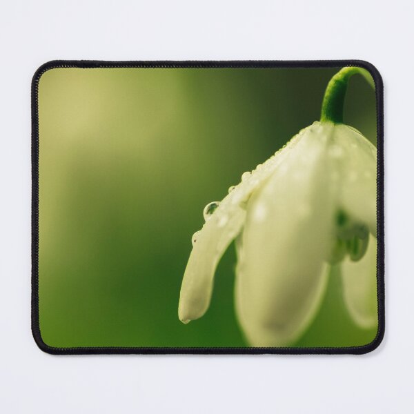 Item preview, Snowdrop and raindrop designed and sold by LindaCooke.