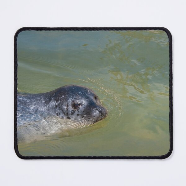Item preview, Common seal posing designed and sold by LindaCooke.