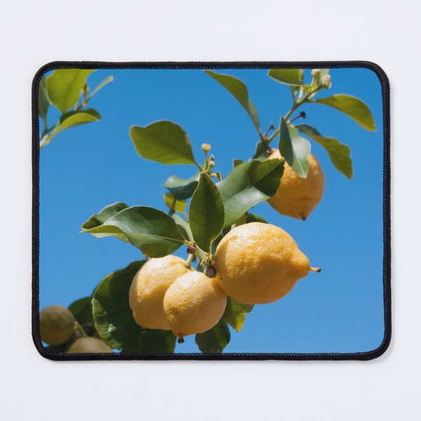Item preview, Lemons against blue sky designed and sold by LindaCooke.