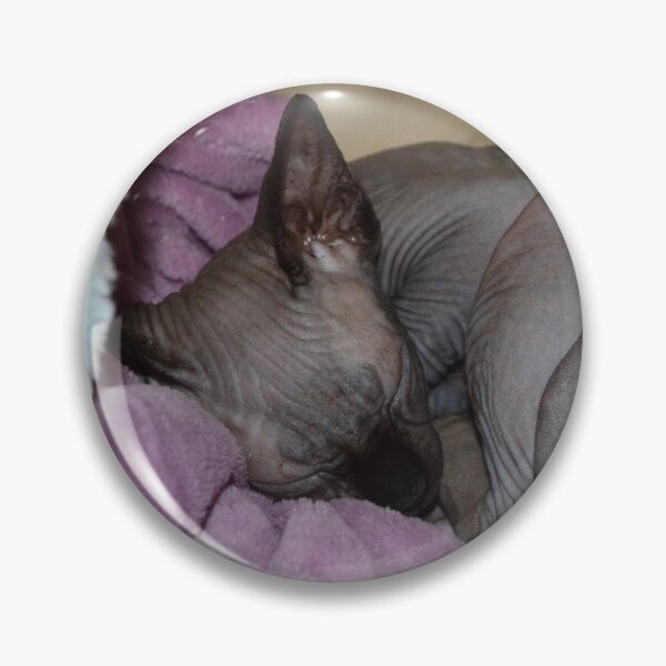 Item preview, Sphynx cat designed and sold by creativeNF.