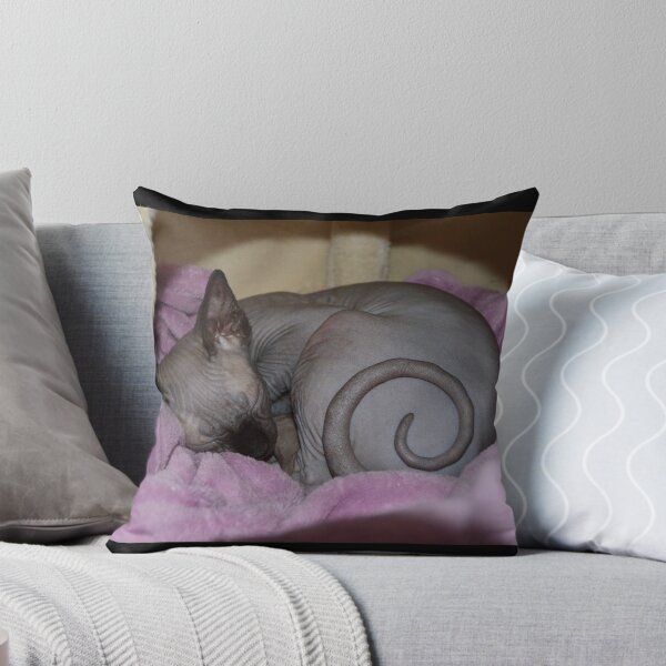 Item preview, Sphynx cat designed and sold by creativeNF.