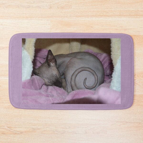 Artikelvorschau, Sphynx Katze entworfen und verkauft von creativeNF.