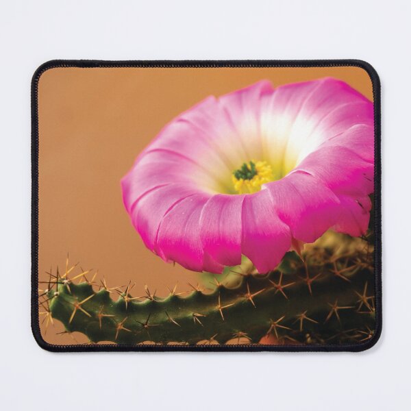 Item preview, flowers cactus designed and sold by marketfeliz.