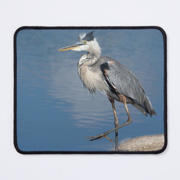 Item preview, Florida wild bird Great Blue Heron designed and sold by Zina Stromberg.