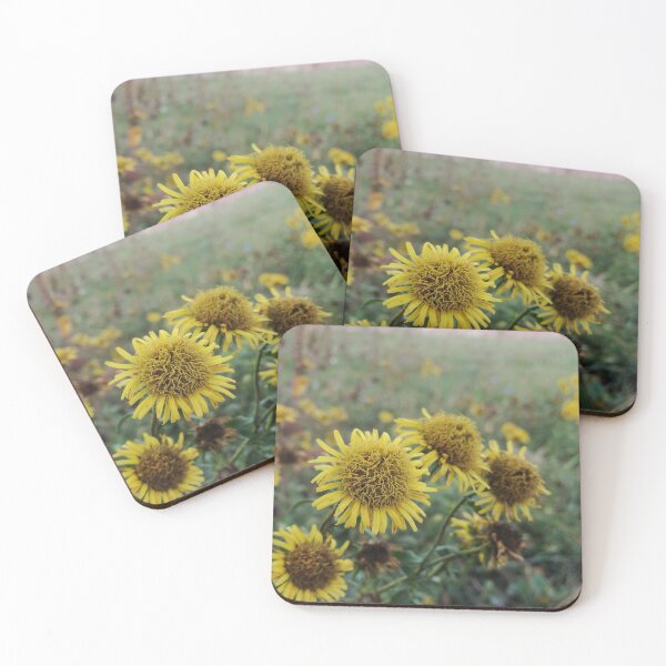 Item preview, Flowers from the meadow designed and sold by DekanGrizli.
