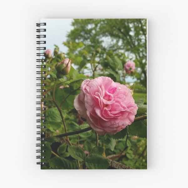 Item preview, Rustic Rose designed and sold by brokenarrowink.