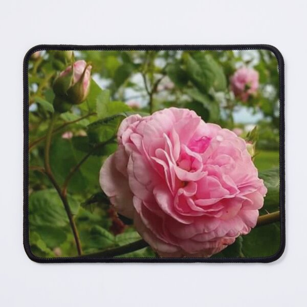 Item preview, Rustic Rose designed and sold by brokenarrowink.