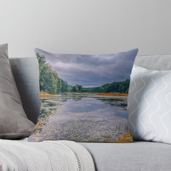 Item preview, Mahlon Dickerson designed and sold by Traci Maturo.