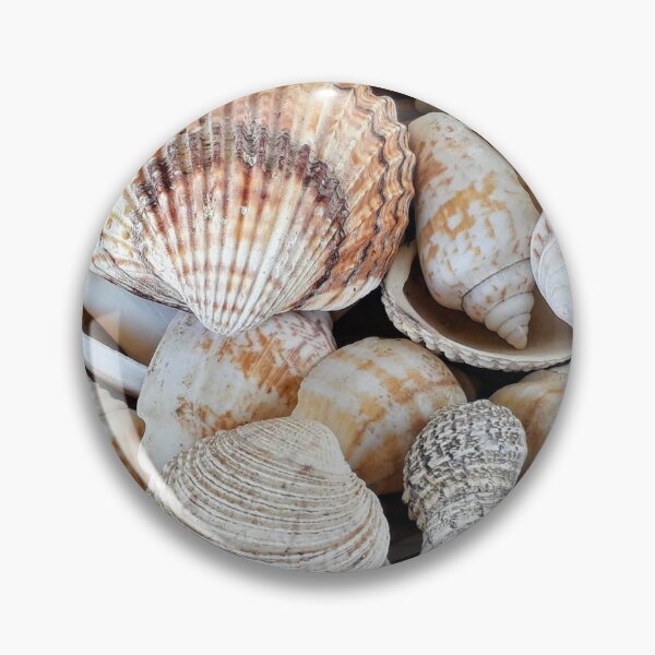 Item preview, Summer Seashells designed and sold by newburyboutique.
