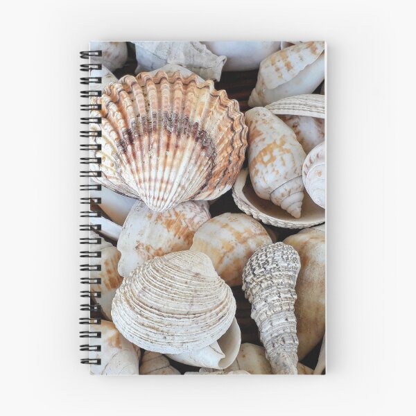 Item preview, Summer Seashells designed and sold by newburyboutique.