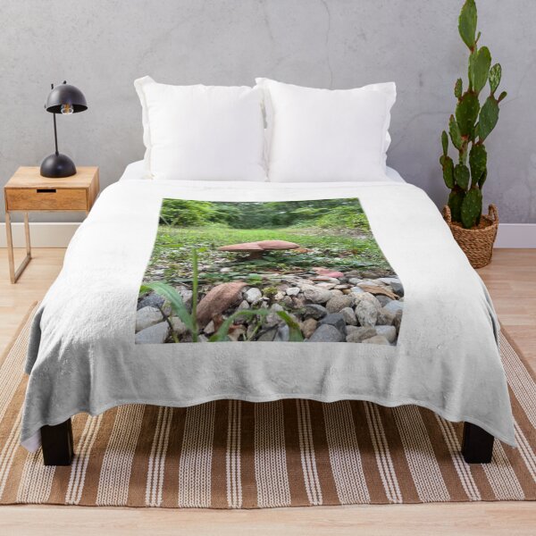 Item preview, Mushroom Found on Trail designed and sold by RotondoArt.