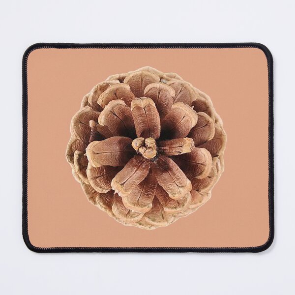 Item preview, Pine cone,pinecone, photo, conifer, evergreen tree, pine tree, mature designed and sold by Nostrathomas66.
