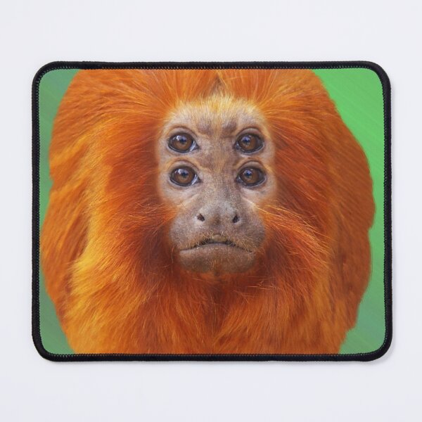 Item preview, Golden Lion Tamarin as Spirit Animal designed and sold by Loveday Funck.