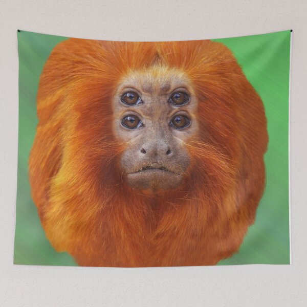 Item preview, Golden Lion Tamarin as Spirit Animal designed and sold by Loveday Funck.