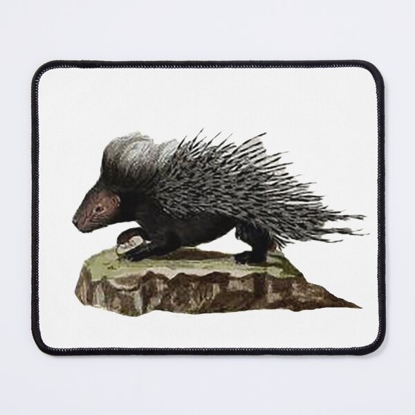 Item preview, Porcupine illustration designed and sold by Nostrathomas66.