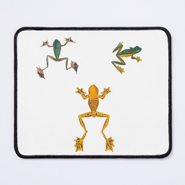 Item preview, 3 Frogs sticker pack, rainforest exotic frogs colorful designed and sold by Nostrathomas66.