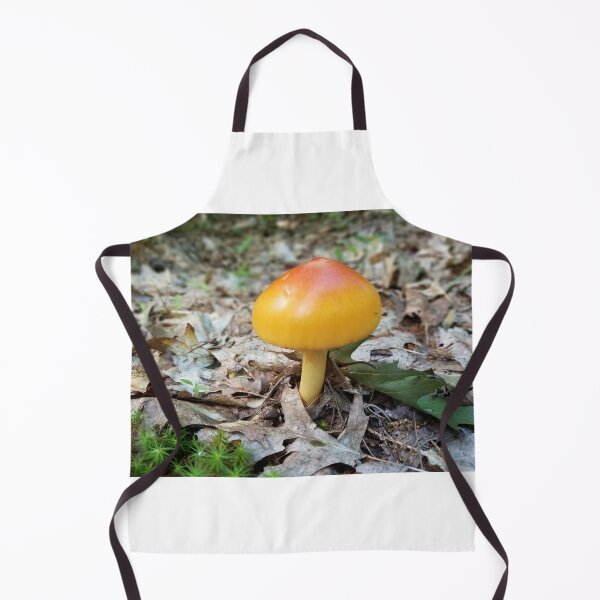 Item preview, Mushrooms of Maine #9 designed and sold by Brenroco.