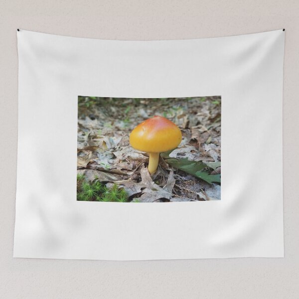 Item preview, Mushrooms of Maine #9 designed and sold by Brenroco.