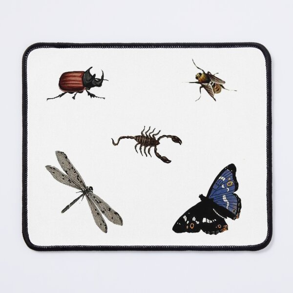 Item preview, Insect Sticker pack Dragonfly, Butterfly, Beetle, Scorpion, Fly, illustrations designed and sold by Nostrathomas66.