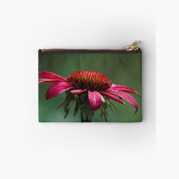 Item preview, Coneflower  designed and sold by Helen  Kelly.