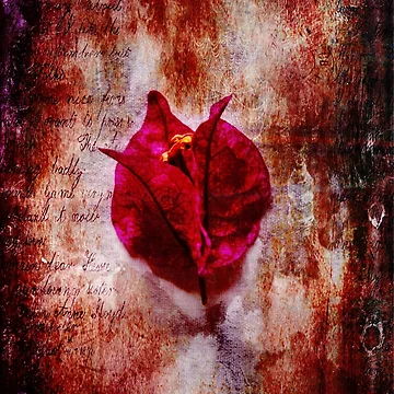 Artwork thumbnail, Solitude by Randi Grace Nilsberg