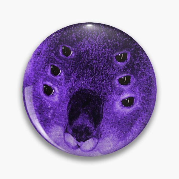 Item preview, Koala Bear as Spirit Animal designed and sold by Loveday Funck.