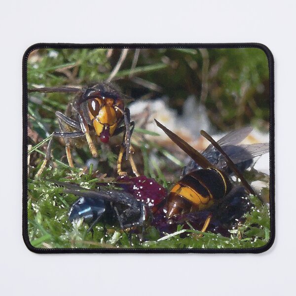Item preview, r1396/ new finition 2021 peinture - Red Wasp (c)(t)  01 by Olao-Olvia / Okaio Créations  designed and sold by o.okaïo.
