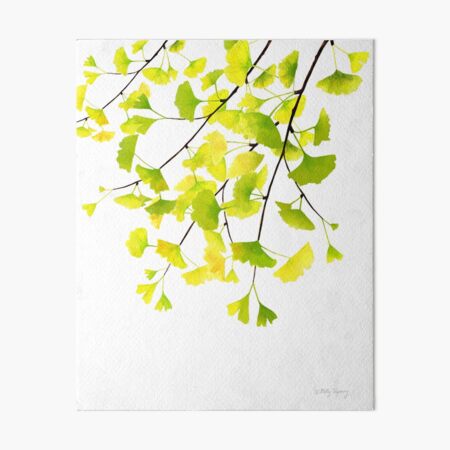 Ginkgo Branches Watercolor Art Board Print