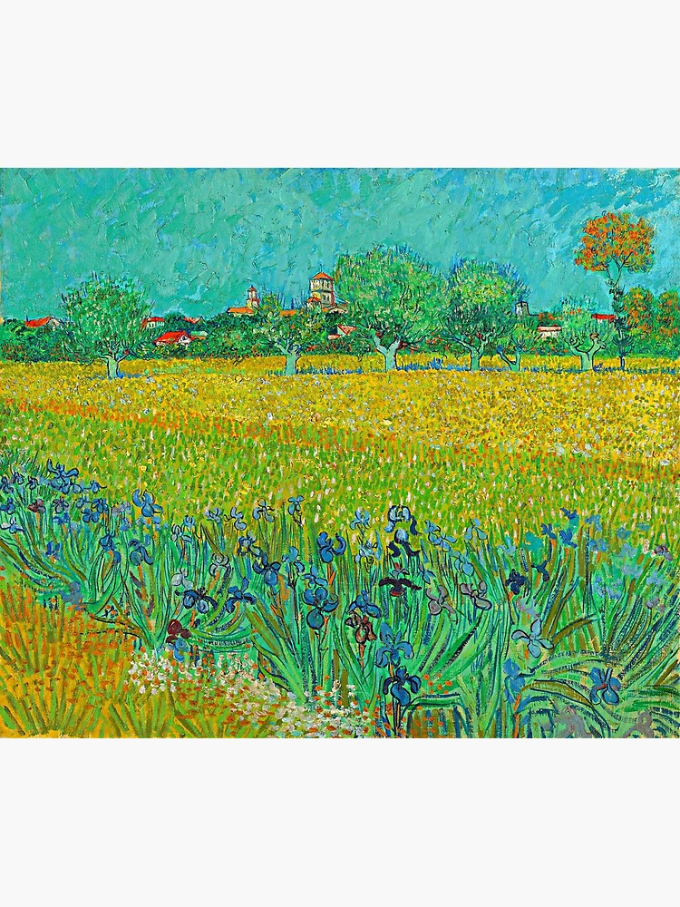 view of arles with irises in the foreground
