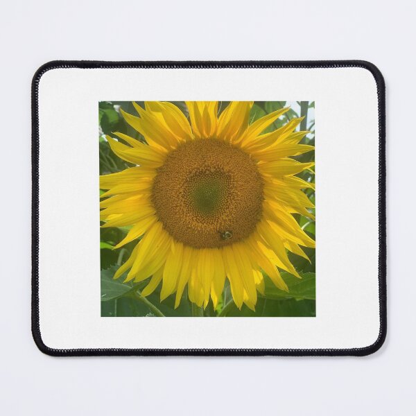 Item preview, Maine Sunflower with a bumblebee designed and sold by MamaP1974.