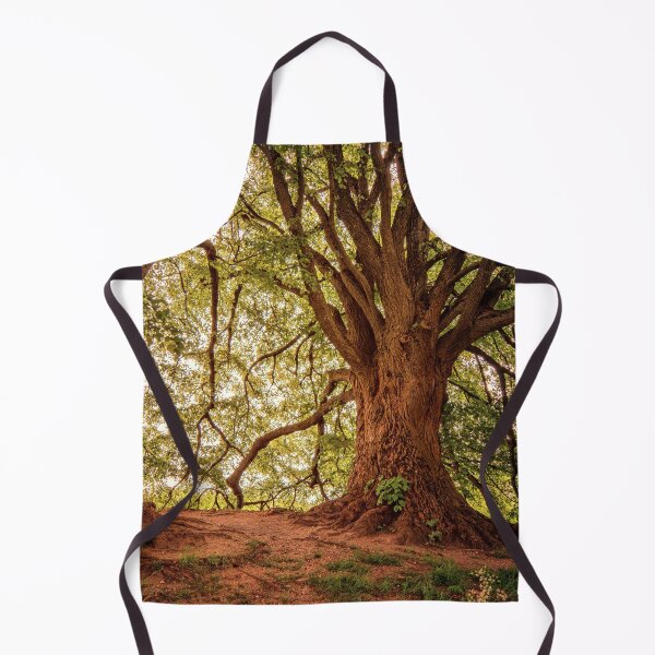 Artikelvorschau, Verzauberter Wald entworfen und verkauft von GaliYoga.