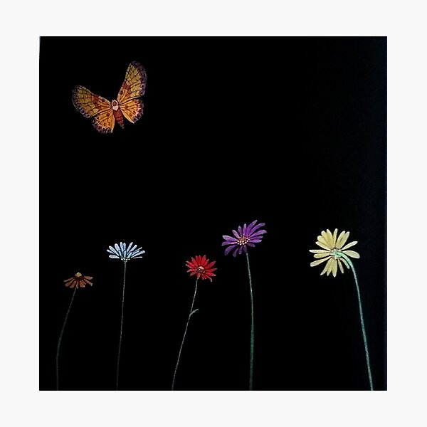 Flying Photographic Print