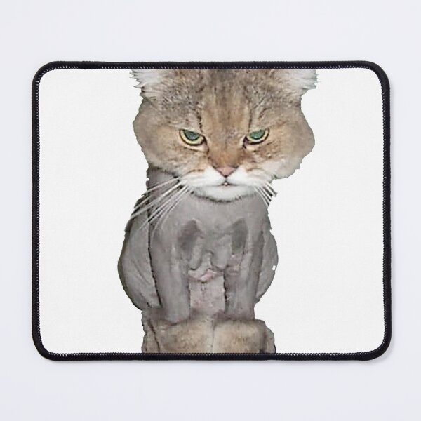 Item preview, Sherrie the shaved cat photo designed and sold by Nostrathomas66.