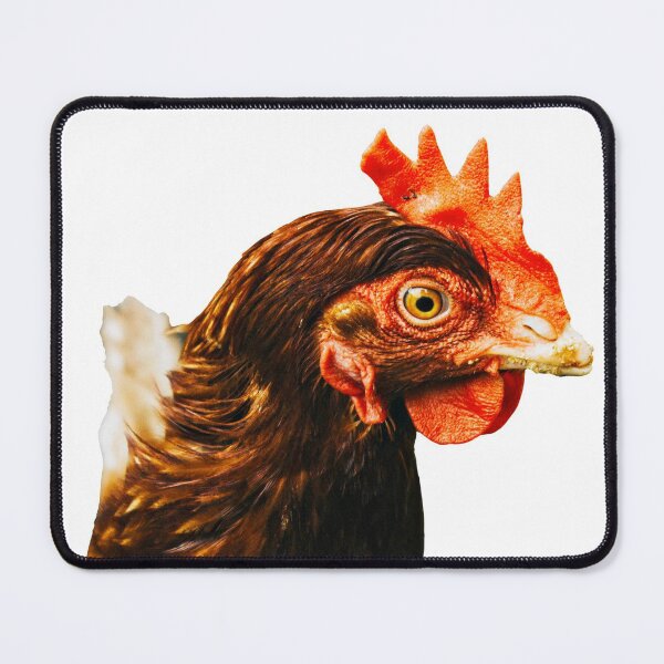 Item preview, Chicken head photo designed and sold by Nostrathomas66.