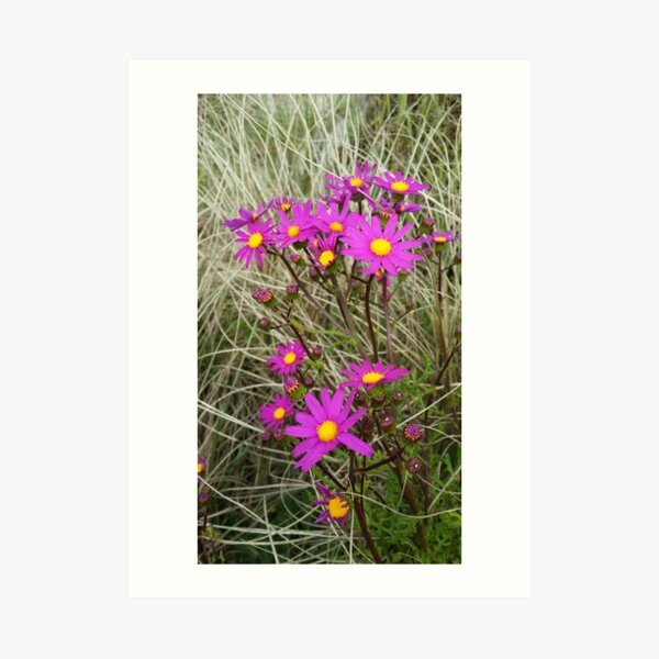 Spring at the Beach Art Print