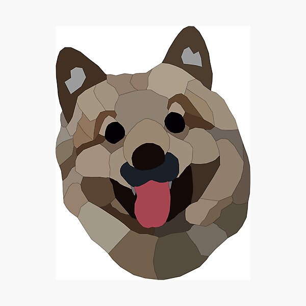 BROWN SPITZ DOG ABSTRACT Photographic Print