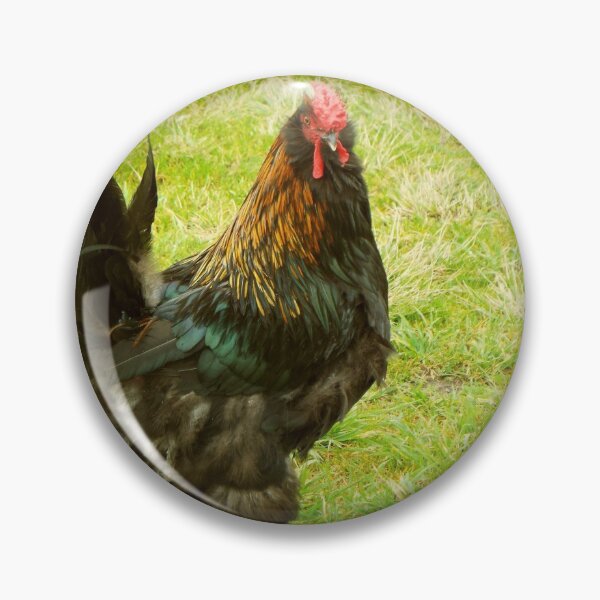 Item preview, cock designed and sold by hosand.