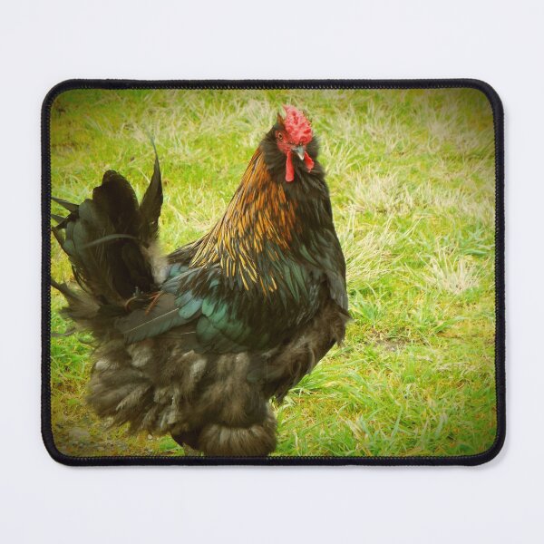 Item preview, cock designed and sold by hosand.